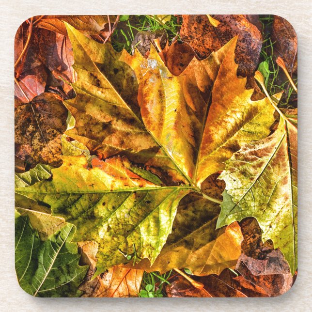 Herbstblätter Untersetzer (Vorderseite)