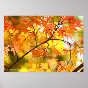 Herbstblätter [Value Poster Paper]