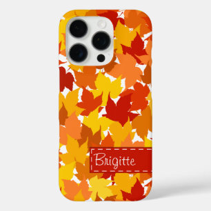 Herbstblätter von Ahorn title_seo2