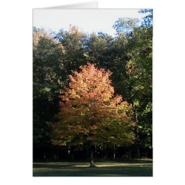 Herbstblätter ( Vorlage)