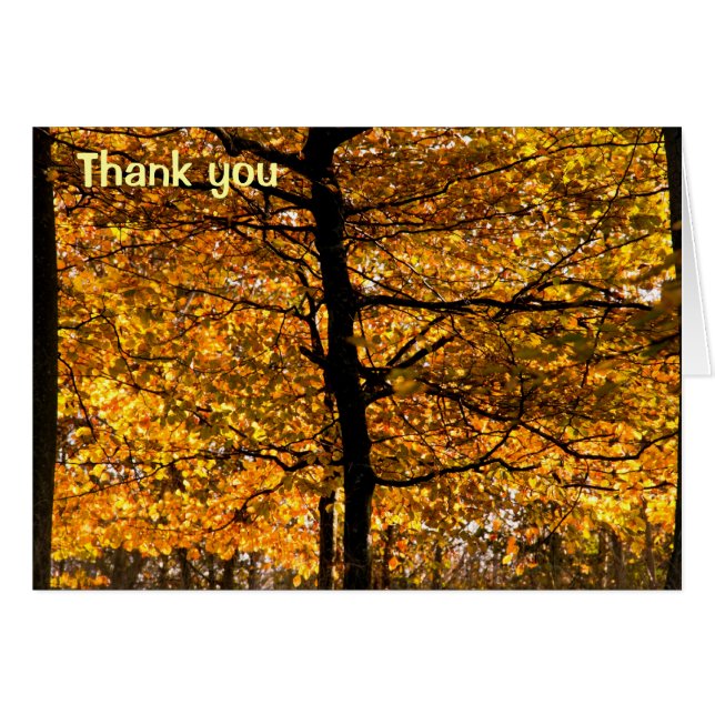 Herbstblätterung (Vorderseite (Horizontal))