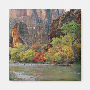 Herbstblätterung entlang der Jungfrau bei Tor Magnet