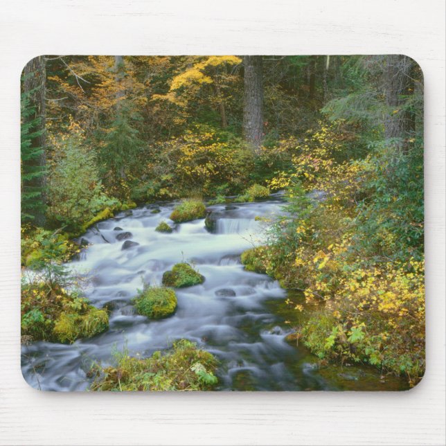 Herbstblätterung und Douglas Fir Border Roaring Ri Mousepad (Vorne)