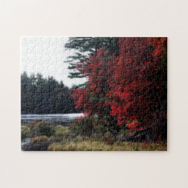 Herbstblüteneffekt nach Sumpf (Horizontal)