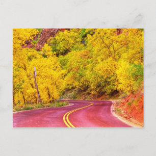 Herbstboulevard Postkarte