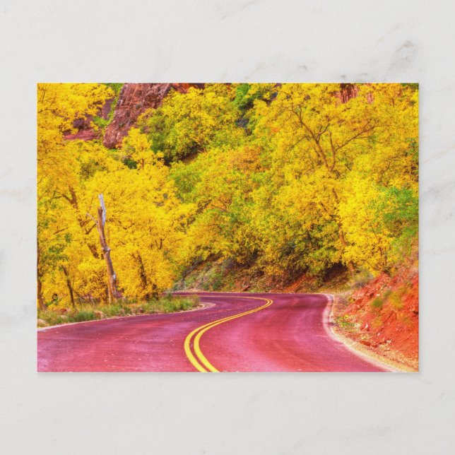 Herbstboulevard Postkarte (Vorderseite)