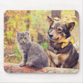 Herbstbuddies: Gray Kitten und Happy Puppy Mousepad