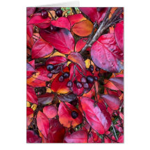 Herbstchokirschen - 5 Zoll x 7 Zoll Kunstkarte
