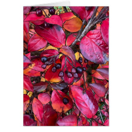 Herbstchokirschen - 5 Zoll x 7 Zoll Kunstkarte