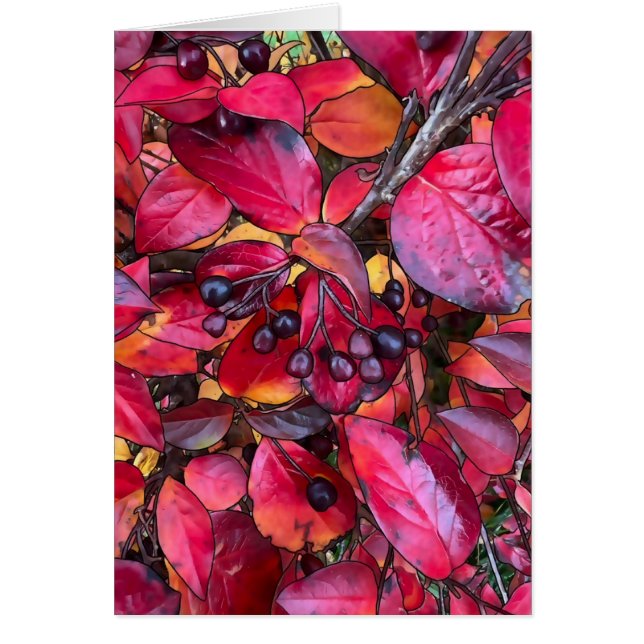 Herbstchokirschen - 5 Zoll x 7 Zoll Kunstkarte (Vorne)