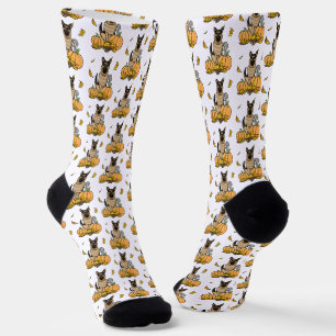 Herbstdeutscher Schäferhund (schwarz-braun) Pumpki Socken