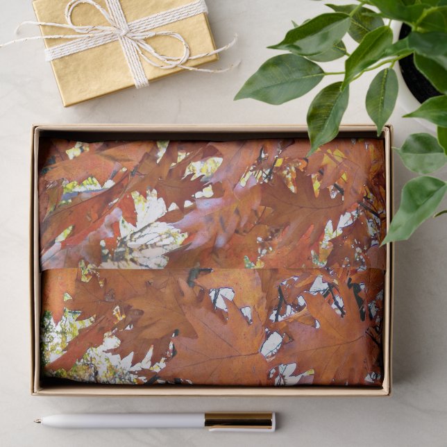 Herbsteiche Blätter floral Seidenpapier (Geschenk)