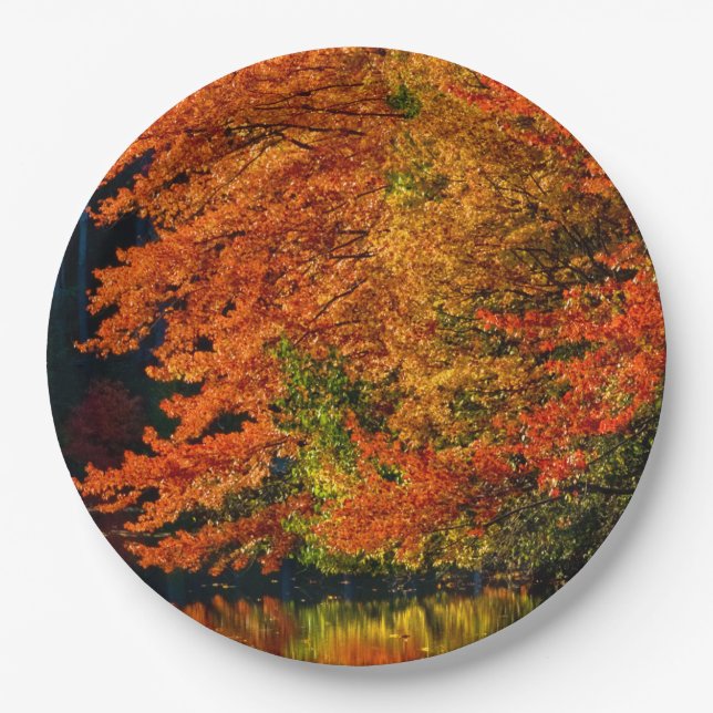 Herbstfallen Foto Farben Rustikale Hochzeit Pappteller (Vorderseite)