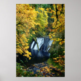 Herbstfallen Poster