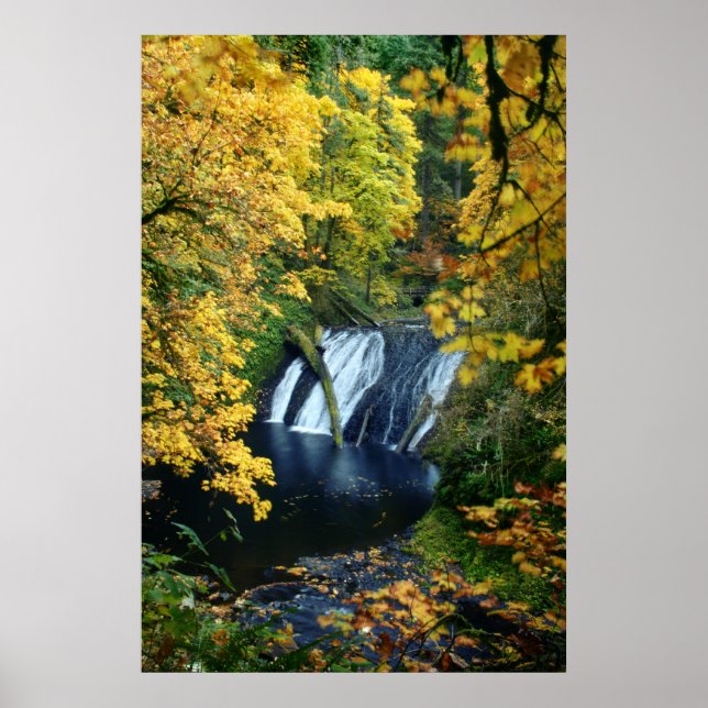 Herbstfallen Poster (Vorne)