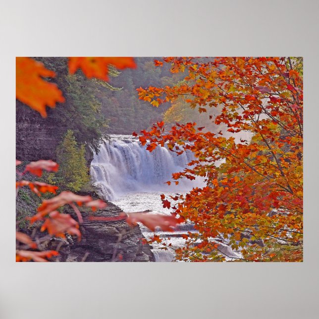 Herbstfallen Poster (Vorne)