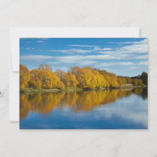 Herbstfarbe am Clutha River Dankeskarte