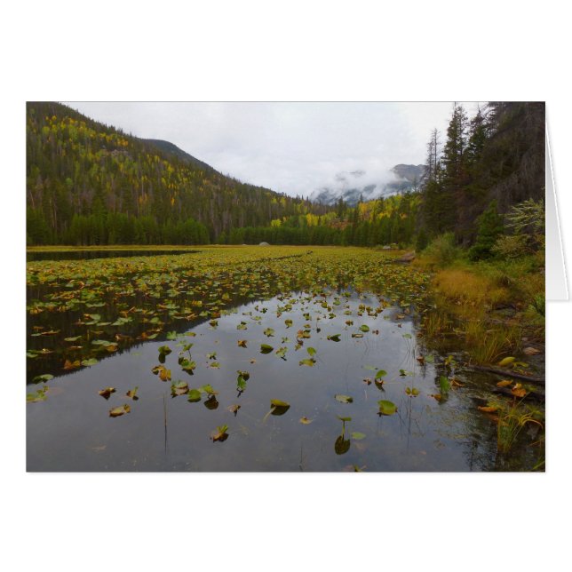 Herbstfarbe am Cub Lake (Vorderseite (Horizontal))