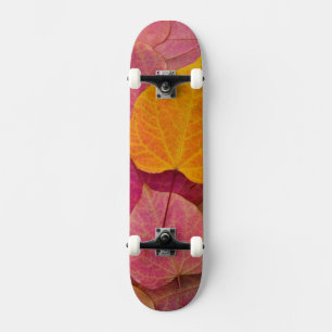 Herbstfarbe auf Forest Pansy Redbud abgefallen Skateboard
