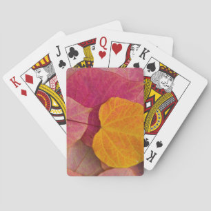 Herbstfarbe auf Forest Pansy Redbud abgefallene Bl Spielkarten