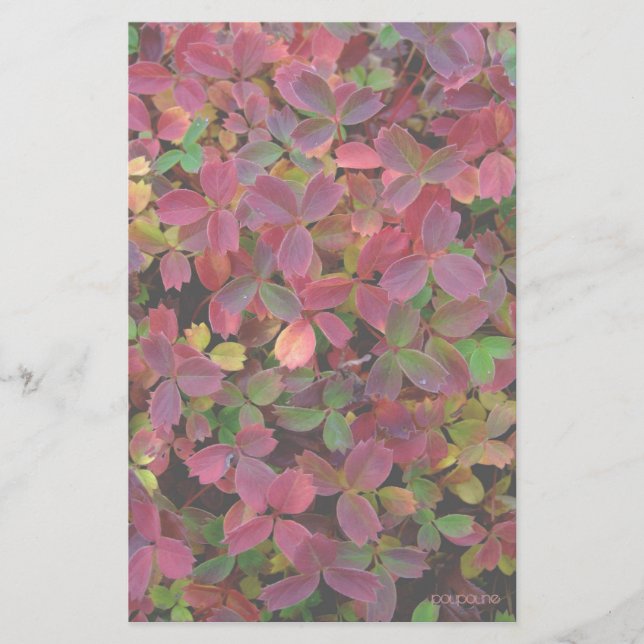 Herbstfarbe Briefpapier (Vorderseite)