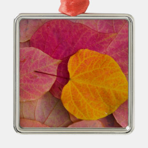 Herbstfarbe des Waldes Pansy Redbud gefallen Ornament Aus Metall