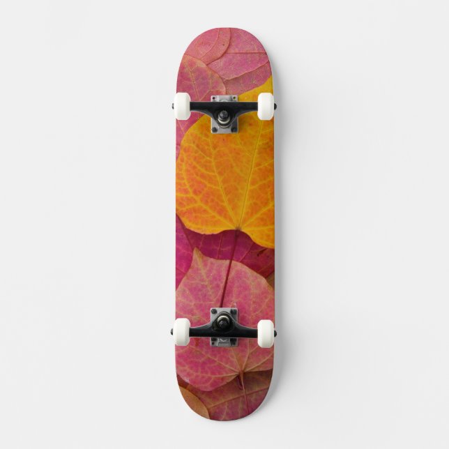 Herbstfarbe des Waldes Pansy Redbud gefallen Skateboard (Vorderseite)