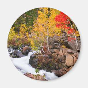 Herbstfarbe entlang Bischof Creek, CA Magnet