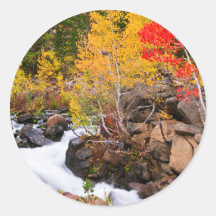 Herbstfarbe entlang Bischof Creek, CA Runder Aufkleber