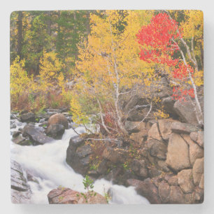 Herbstfarbe entlang Bishop Creek, CA Steinuntersetzer