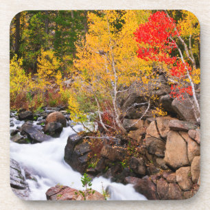 Herbstfarbe entlang Bishop Creek, CA Untersetzer
