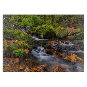 Herbstfarbe entlang der Starvation Creek Falls Schneidebrett