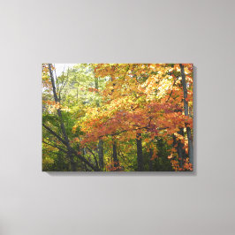 Herbstfarbe / Herbstlemme Leinwanddruck