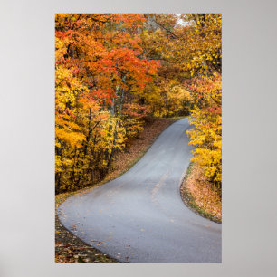 Herbstfarbe im Brown County State Park Poster