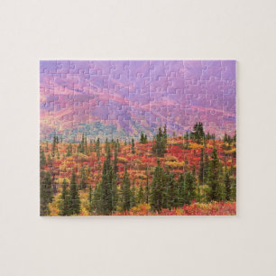 Herbstfarbe im Denali-Nationalpark