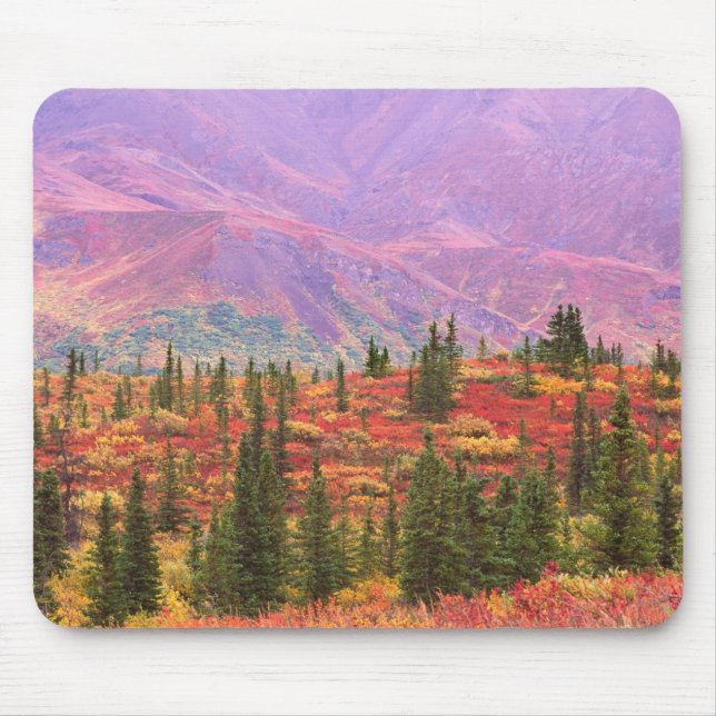 Herbstfarbe im Nationalpark Denali Mousepad (Vorne)