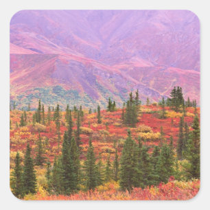 Herbstfarbe im Nationalpark Denali Quadratischer Aufkleber