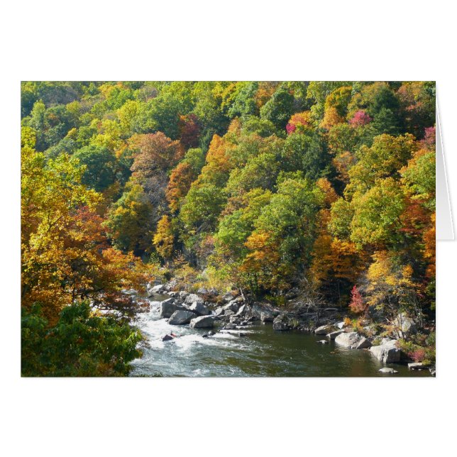 Herbstfarbe im Ohiopyle Staat Park (Vorderseite (Horizontal))
