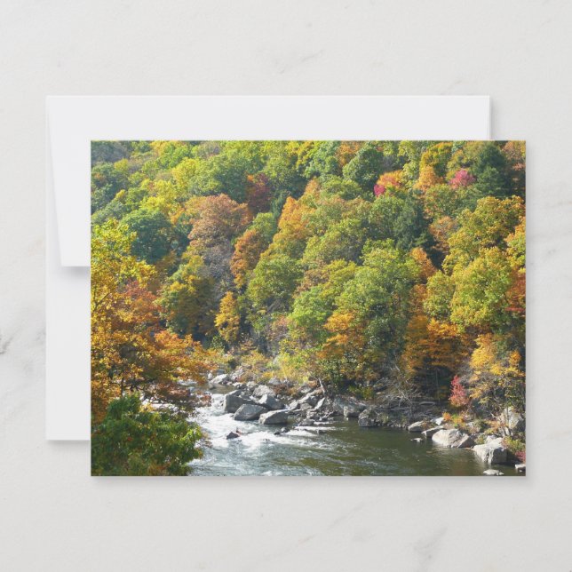 Herbstfarbe im Ohiopyle Staat Park (Vorderseite)