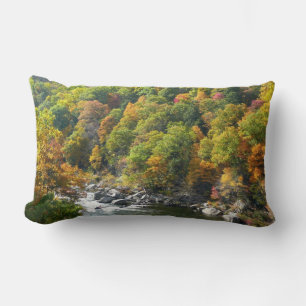 Herbstfarbe im Ohiopyle Staat Park Lendenkissen