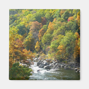 Herbstfarbe im Ohiopyle Staat Park Magnet
