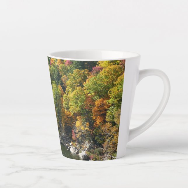 Herbstfarbe im Ohiopyle Staat Park Milchtasse (Rechts)