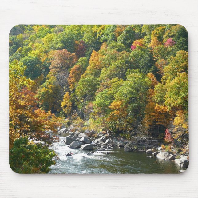 Herbstfarbe im Ohiopyle Staat Park Mousepad (Vorne)