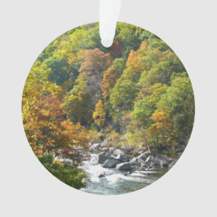 Herbstfarbe im Ohiopyle Staat Park Ornament