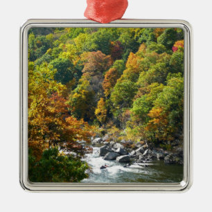 Herbstfarbe im Ohiopyle Staat Park Ornament Aus Metall