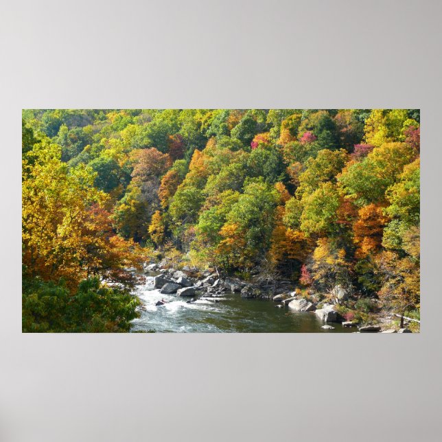 Herbstfarbe im Ohiopyle Staat Park Poster (Vorne)
