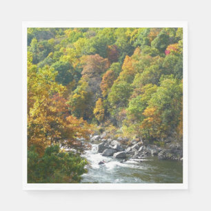 Herbstfarbe im Ohiopyle Staat Park Serviette