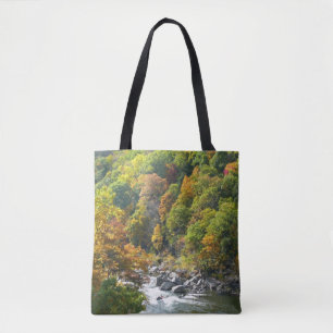 Herbstfarbe im Ohiopyle Staat Park Tasche