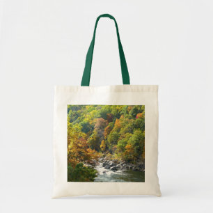 Herbstfarbe im Ohiopyle Staat Park Tragetasche
