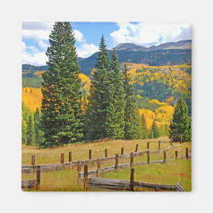 Herbstfarbe in der Landschaft Magnet